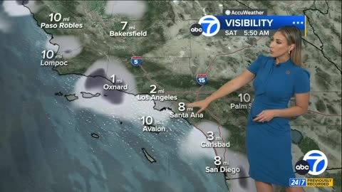 ABC7LA Hottie On 110125