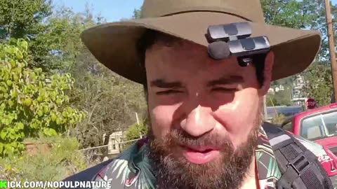 FRIDAY LIVE STREAM IRL FESTIVAL