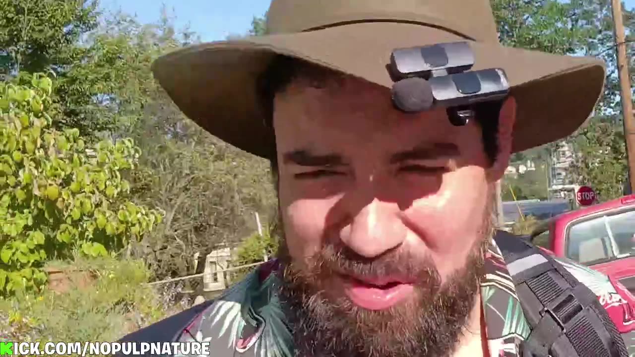 FRIDAY LIVE STREAM IRL FESTIVAL