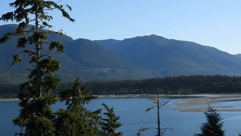 Why We Need To Protect Places like Fairy Creek (recorded in Port Renfrew, Vancouver Island, 2025)