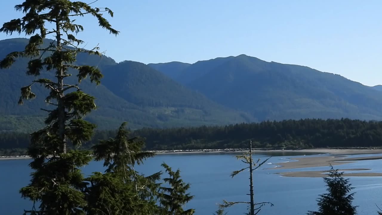 Why We Need To Protect Places like Fairy Creek (recorded in Port Renfrew, Vancouver Island, 2025)