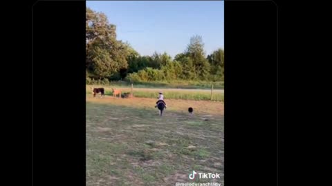 WYPIPO!!! • by DP • 11-24-2025