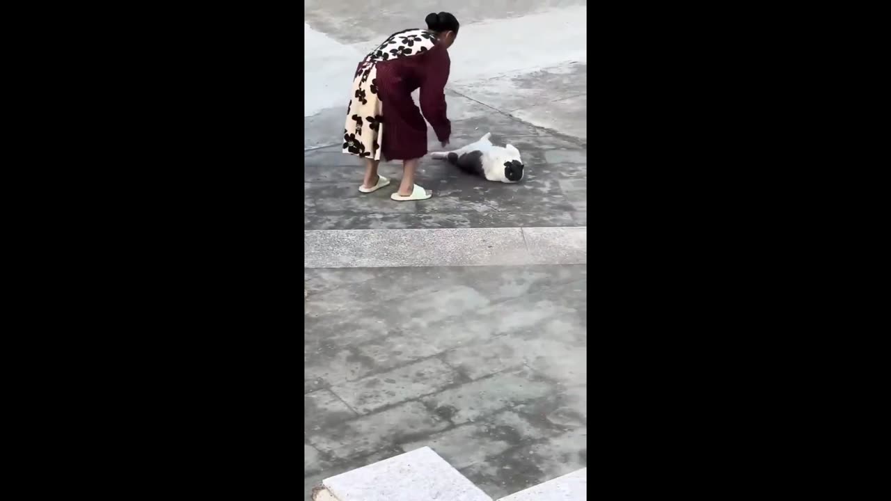 Purr-ime Time Fails: Epic Funny Cat Video Fest!