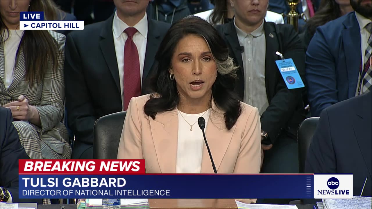 Senator grills Gabbard on Signal chat leaks: ‘Show the texts now’