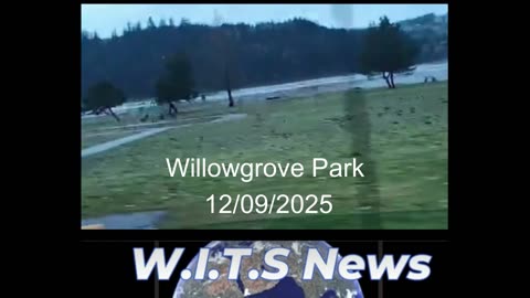 Longview Washingtons Loch Ness Monster Discovered During Great Flood of 25