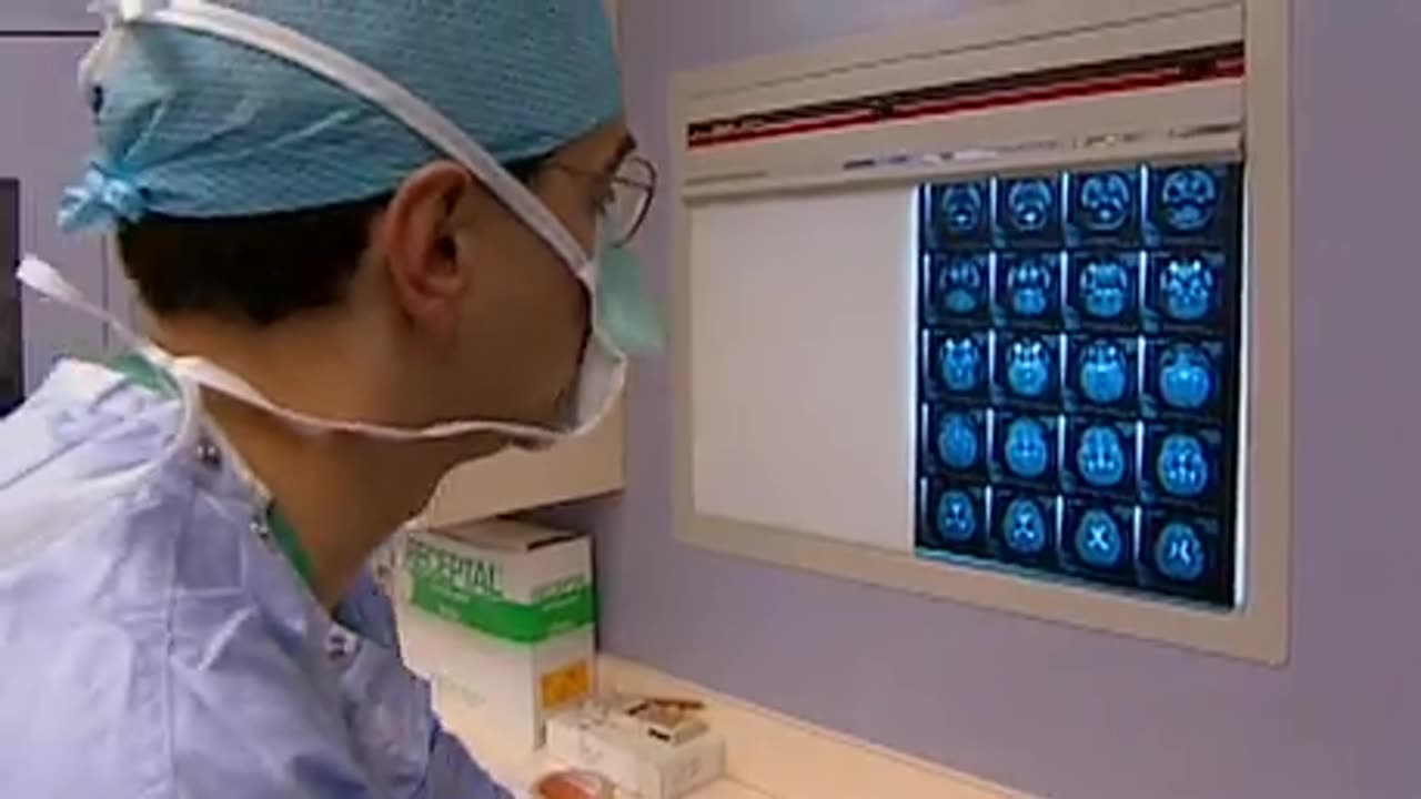 DMT - What They Don't Want You to Know