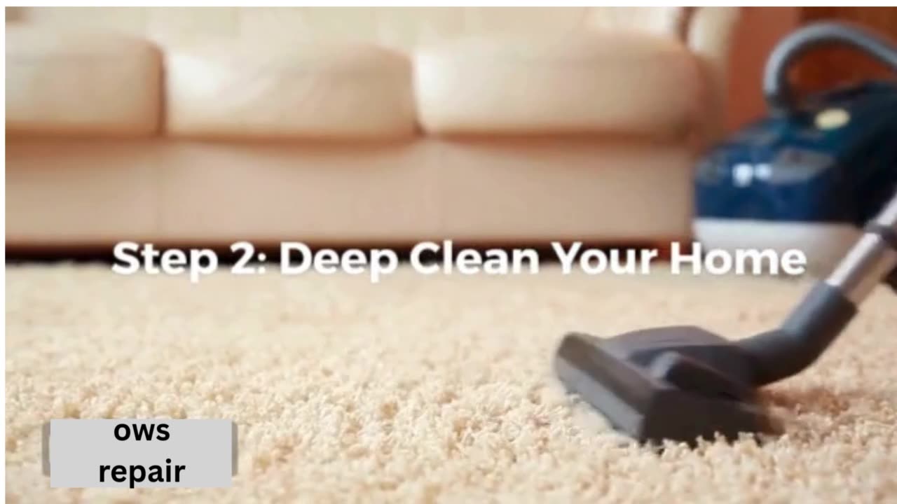 DIY Flea Control: How to Keep Your Pets & Home Flea-Free