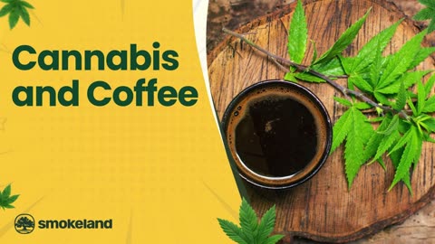 How Cannabis and Coffee Work Together: Benefits and Effects