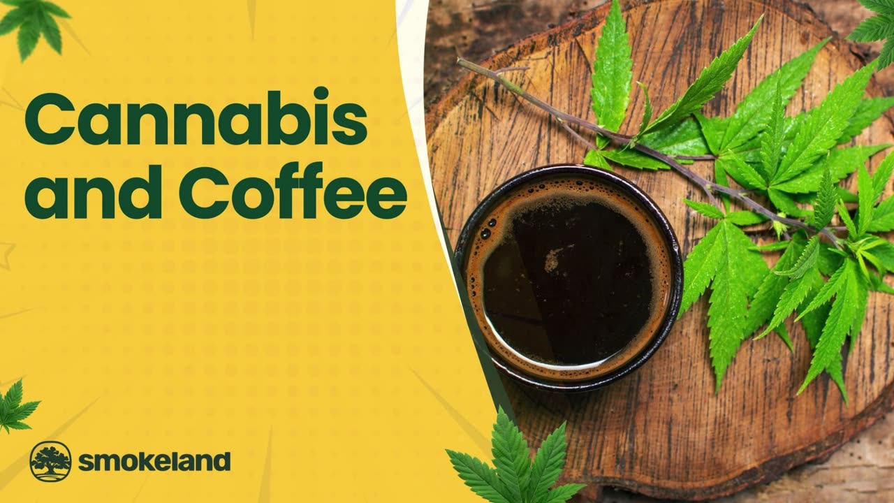 How Cannabis and Coffee Work Together: Benefits and Effects