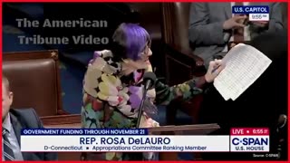 Infamous, Purple-Haired Democrat Has Berserk Meltdown on the House Floor