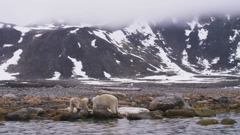 Top 10 Places to Visit in Norway