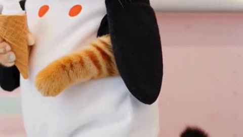 Penguin Cat Dancing #cat #dancingcat #petdance #dancingpets #catdancer #dance #funny #penguin