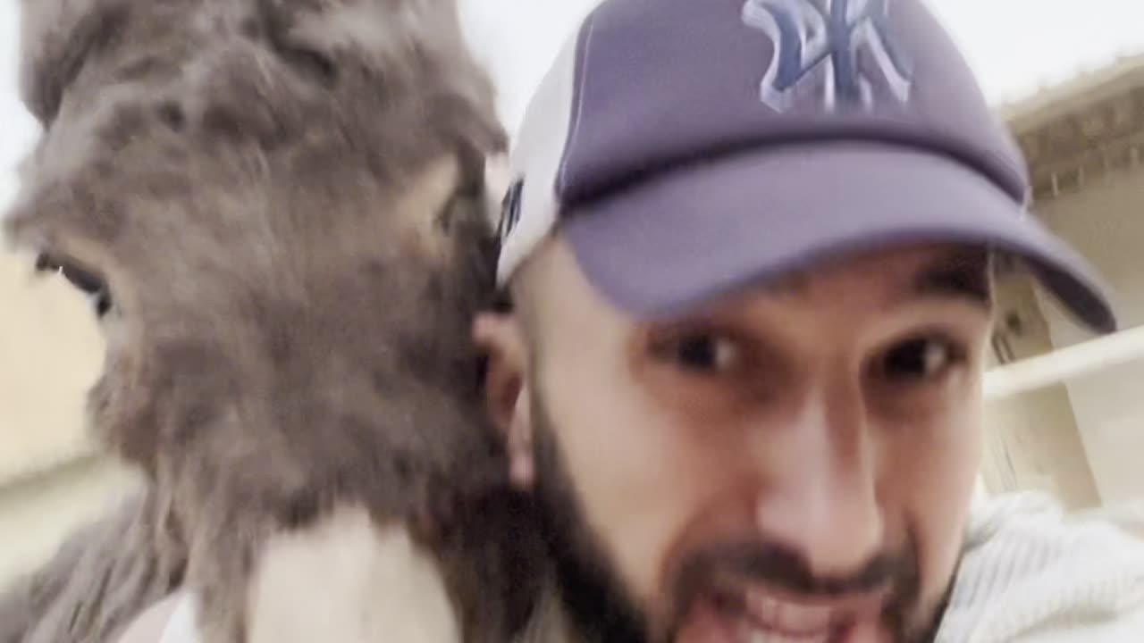 البطل سنبل