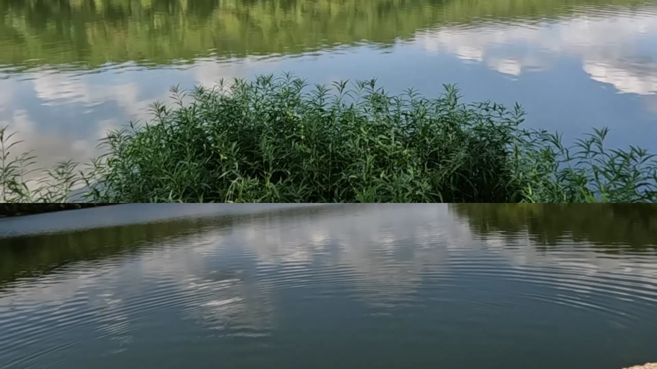 Van Halen PANAMA music video