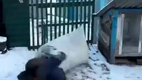 Epic funny video 😂😂😂