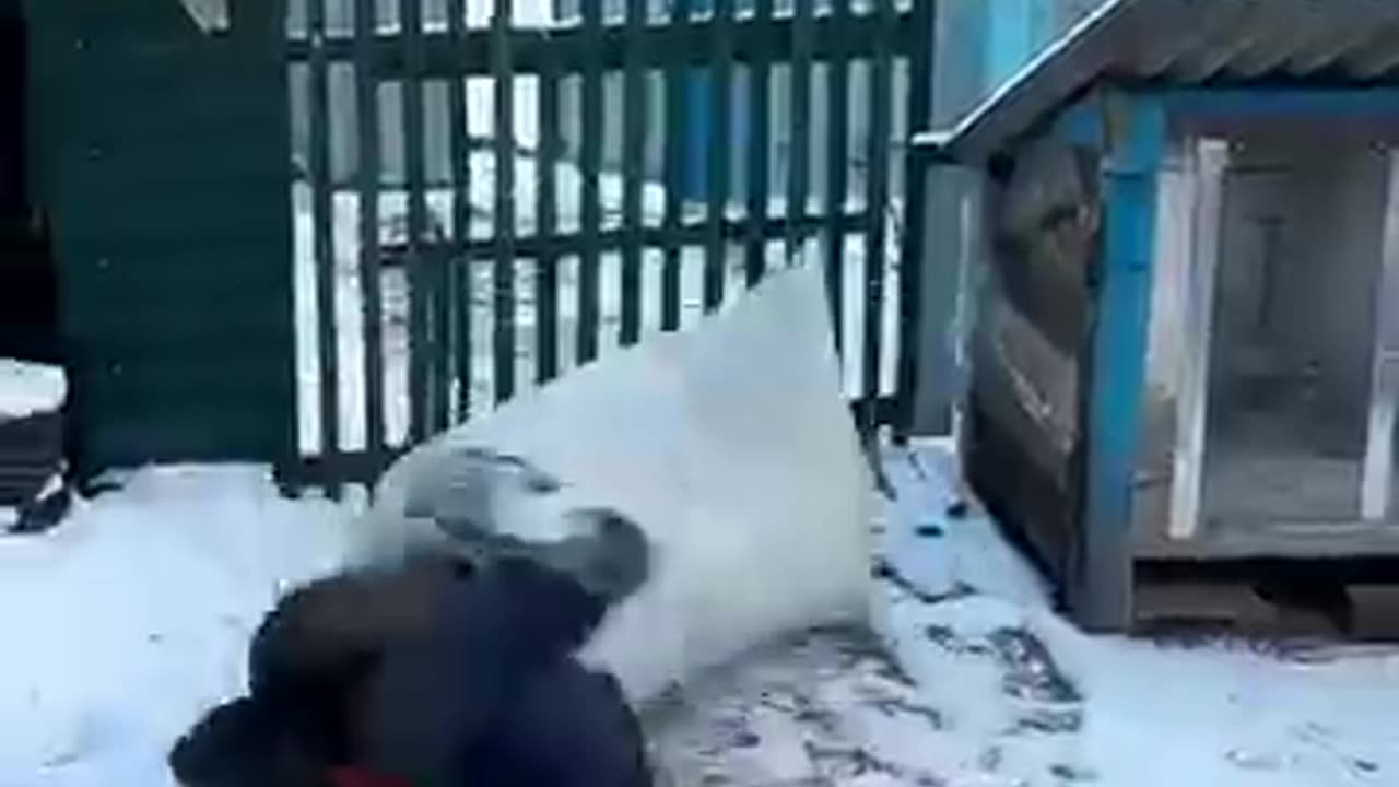 Epic funny video 😂😂😂