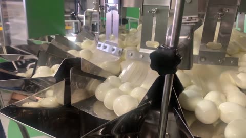 Egg Packing Machine for Factory | Egg Packaging Process T2 Multihead combination Weigher Hightek USA