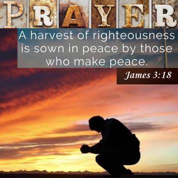 Prayer to make Peace #youtubeshorts #grace #jesus #mercy #faith #fyp #trust #joy #bless #wish #love