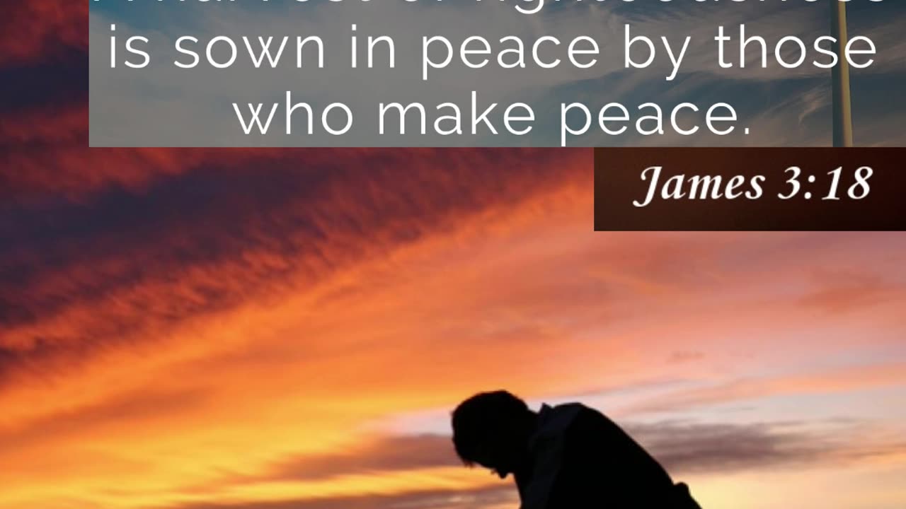 Prayer to make Peace #youtubeshorts #grace #jesus #mercy #faith #fyp #trust #joy #bless #wish #love