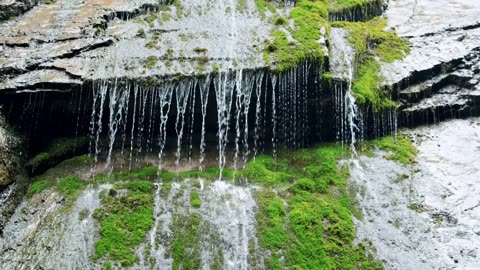 When the lens focuses on nature, beauty is within reach.