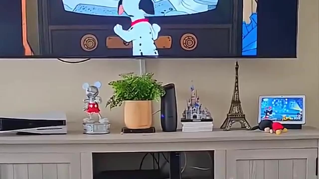 look at the end 🤣🤣 #pet #cat #dog #cute #animals #funny #shorts