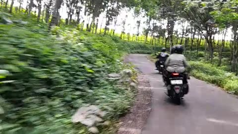 Mountain Wildlife Encounters