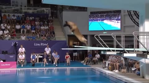 Olympic-Level Dog Diving: Watch These Pups Make a Splash!