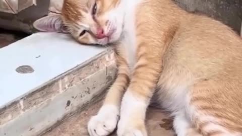 I need rest of mind