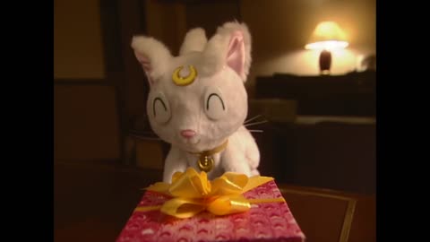 Usagi & Mamoru sailor moon live action act 19 Mineko gives Artemis valentine chocolate