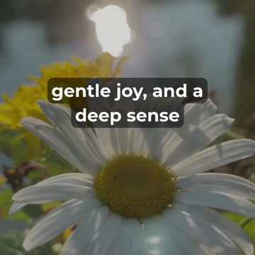 This Friday prayer will soften your heart #prayer #comfort #godsays