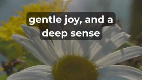 This Friday prayer will soften your heart #prayer #comfort #godsays