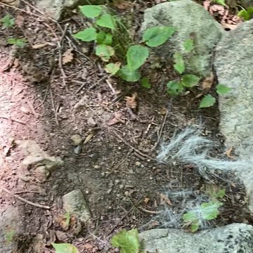 SOMETHING DIDN'T MAKE IT!