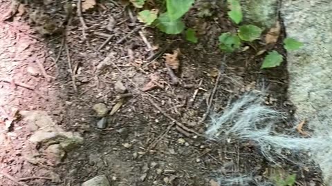 SOMETHING DIDN'T MAKE IT!