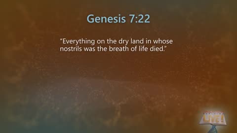 Associated Christian Television 24/7