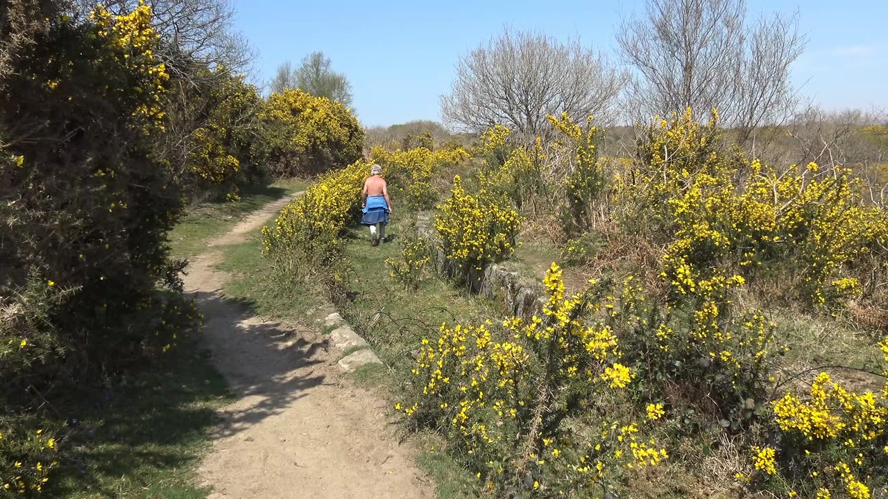 Dartmoor Diner Roborough Downs to Drakes leet to Yelverton Devon England walk in April