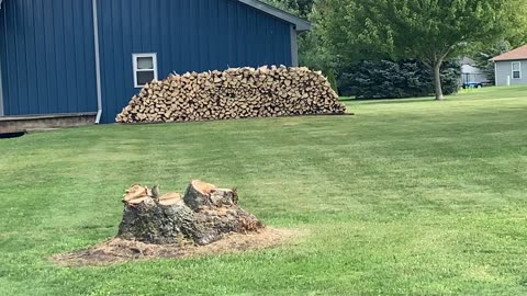 I have an addiction!