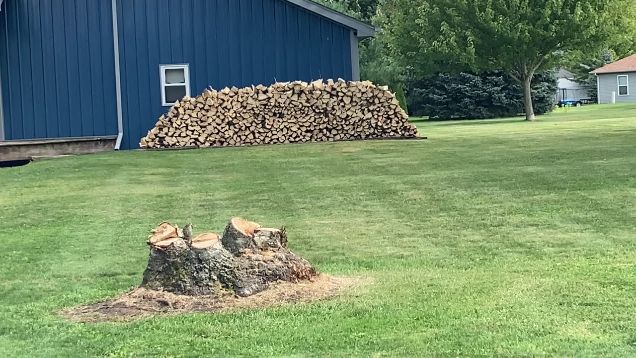 I have an addiction!