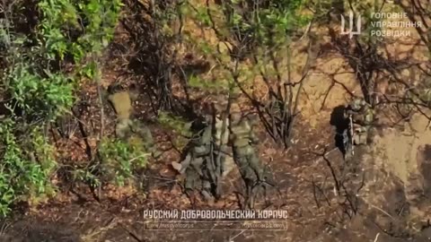 ⚔️🇺🇦 Ukraine Russia War | Russian Volunteer Corps Strikes from the Dnipropetrovsk Border | RCF