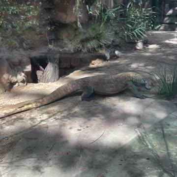 Welcome to Australia 🇦🇺