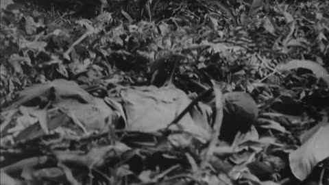 CO F PERIMETER OF T... - CO F PERIMETER OF THE 129TH INF REGT, ACTIVITIES ON BOUGAINV - 111-adc-1588