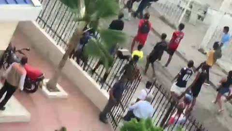 palmeras