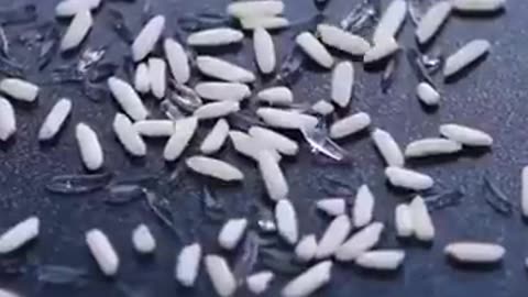 Fake food