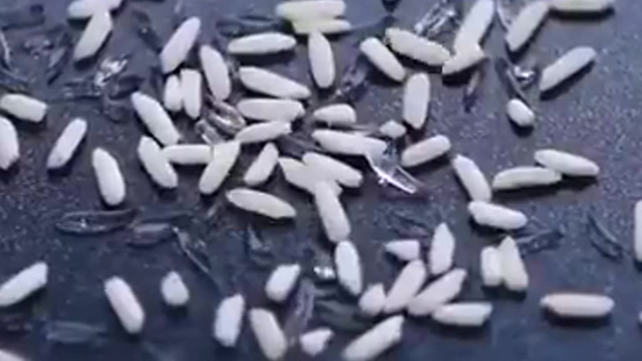 Fake food