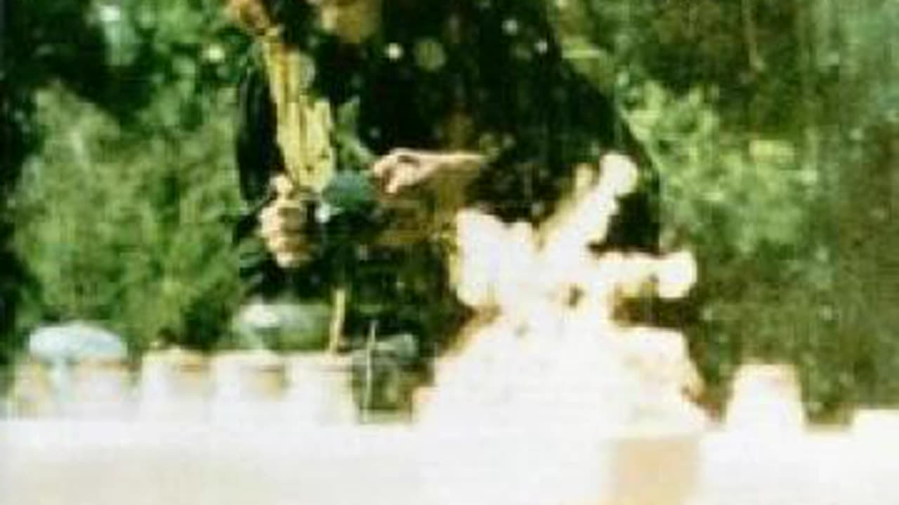 Graham Nash - Better Days