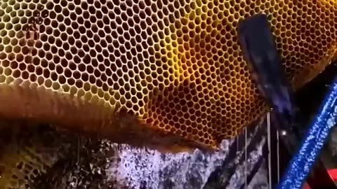 This Country Use Honey Like