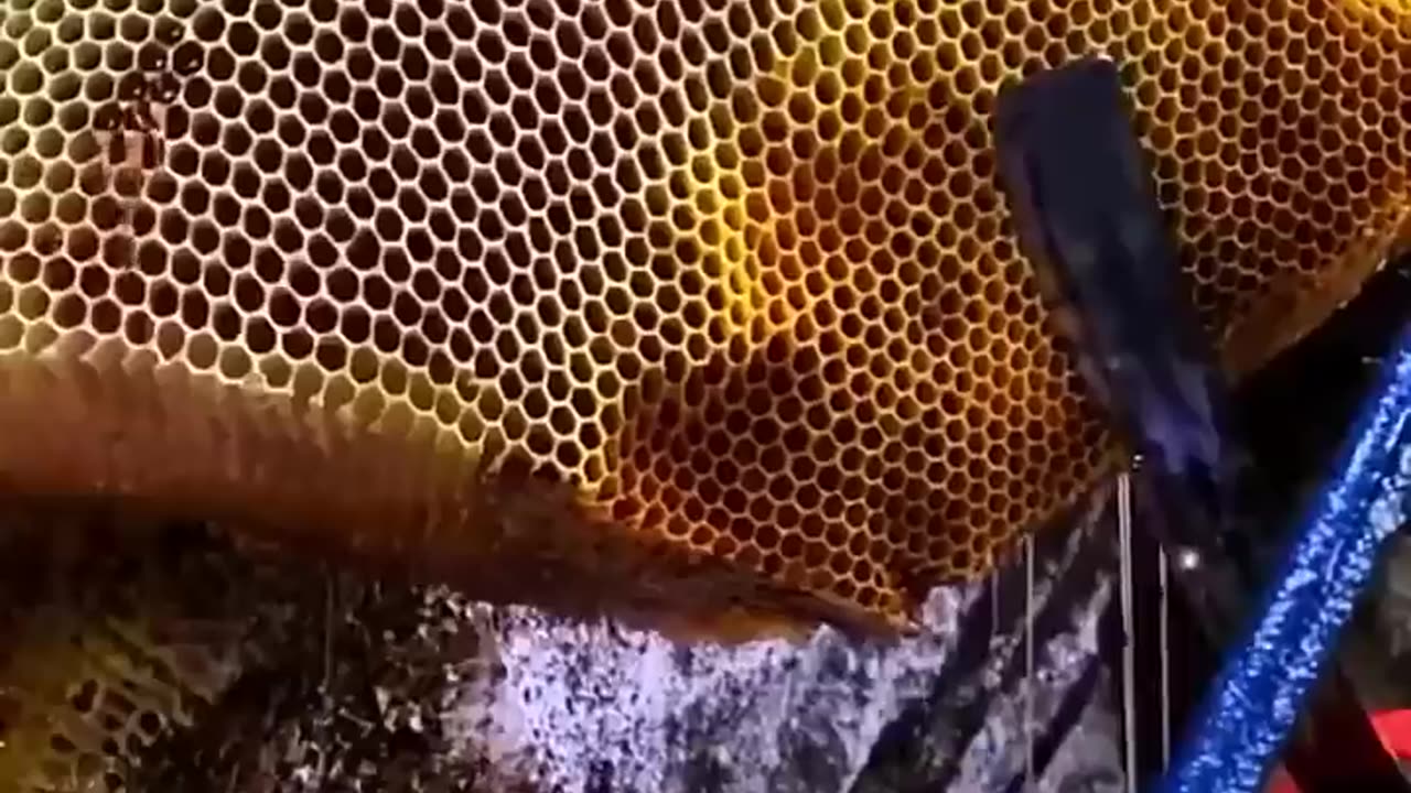 This Country Use Honey Like