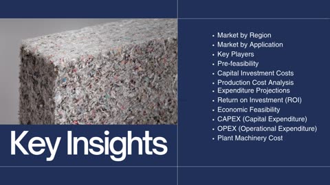 Cellulose Manufacturing Plant Project Report