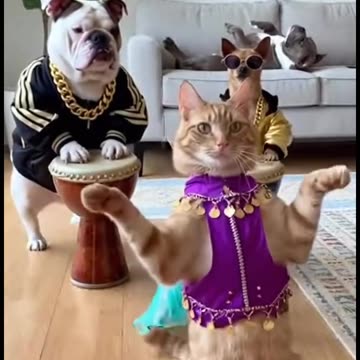 Who's that one, always sleeping??