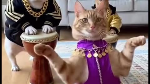 Who's that one, always sleeping??