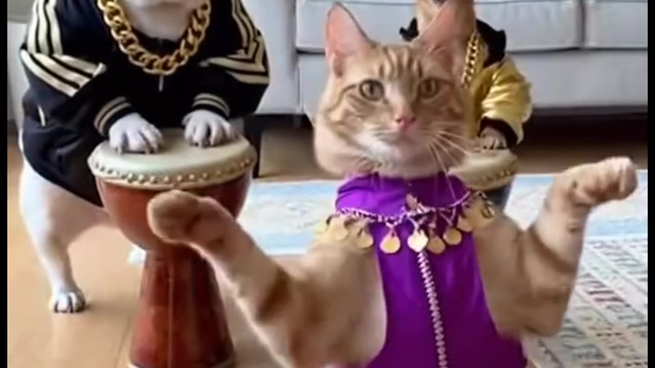 Who's that one, always sleeping??